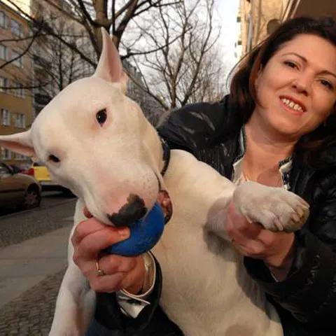Clipul Zilei - Armani, câinele care zice "mama"