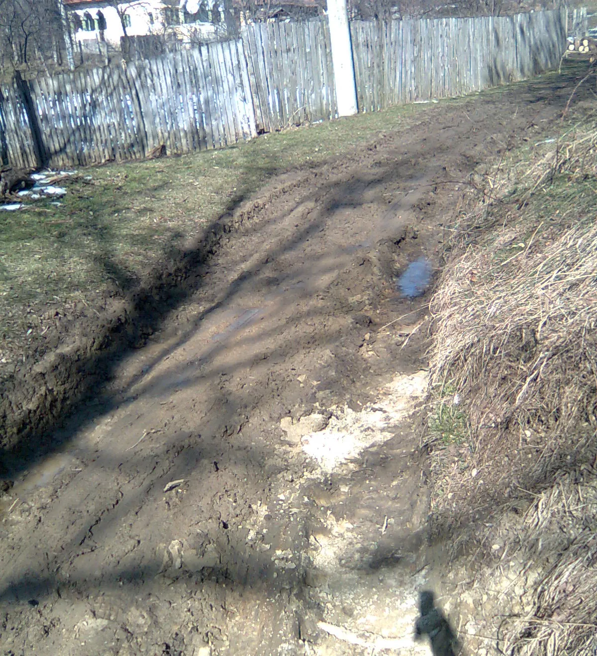 Drumul dintre satele Teiuş şi Coasta Mare, jud. Vâlcea, a fost distrus după ce o firmă a tras pe el lemne