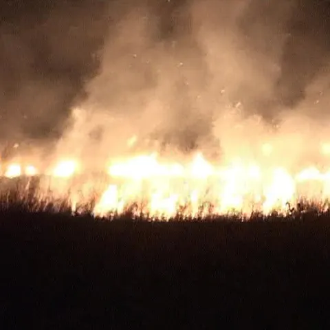Peste 70 de hectare de vegetaţie uscată au ars în Prahova