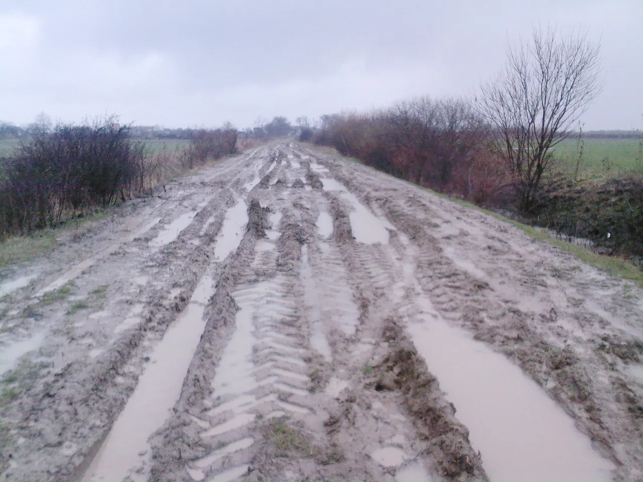 DJ 797A, numai bun de off-road