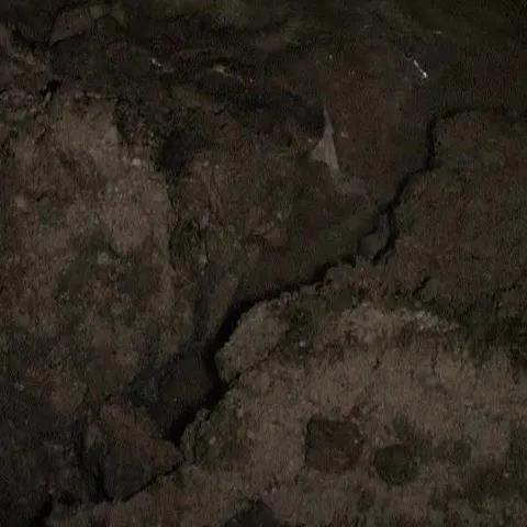 Comuna dâmboviţeană Runcu a riscat să rămână izolată