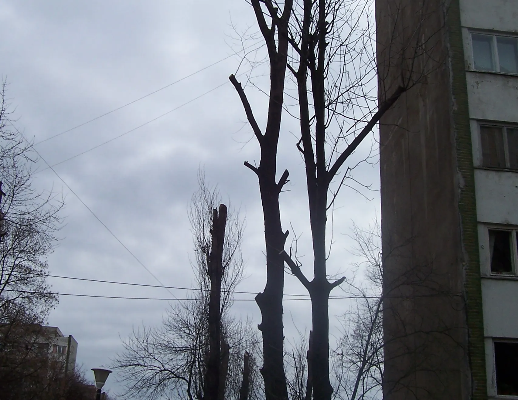 Pereţii unui bloc din bucureşti stru să cadă