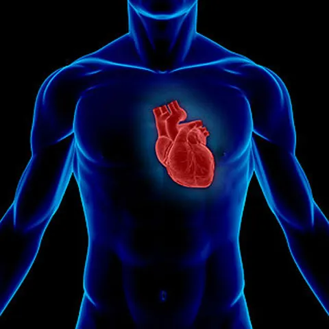 Inima fotbaliştilor este diferită, ceea ce poate duce la moarte subită (studiu)