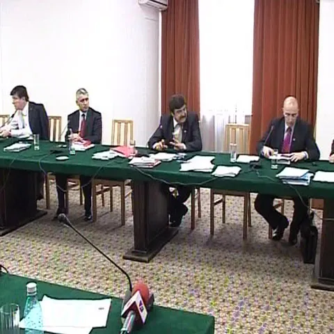 Senatorii juriști au amânat, din nou, decizia în cazul Şerban Mihăilescu