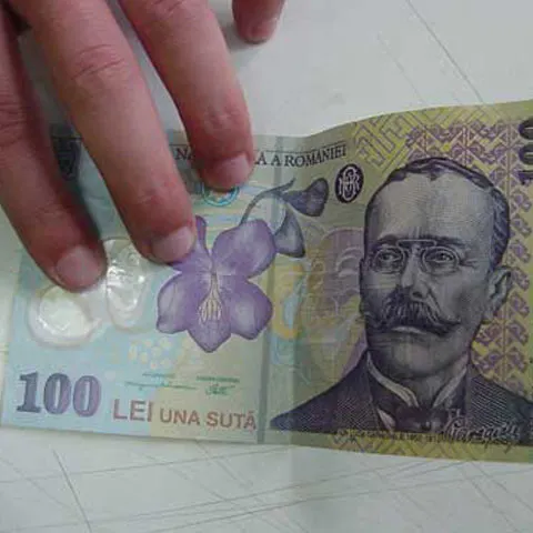 O grupare care plasa bancnote false în judeţele Arad, Timiş şi Bihor a fost anihilată de poliţişti