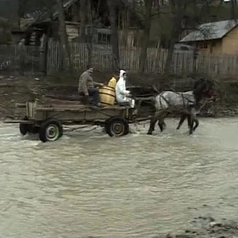 Trei localităţi din Prahova au fost afectate de ploi