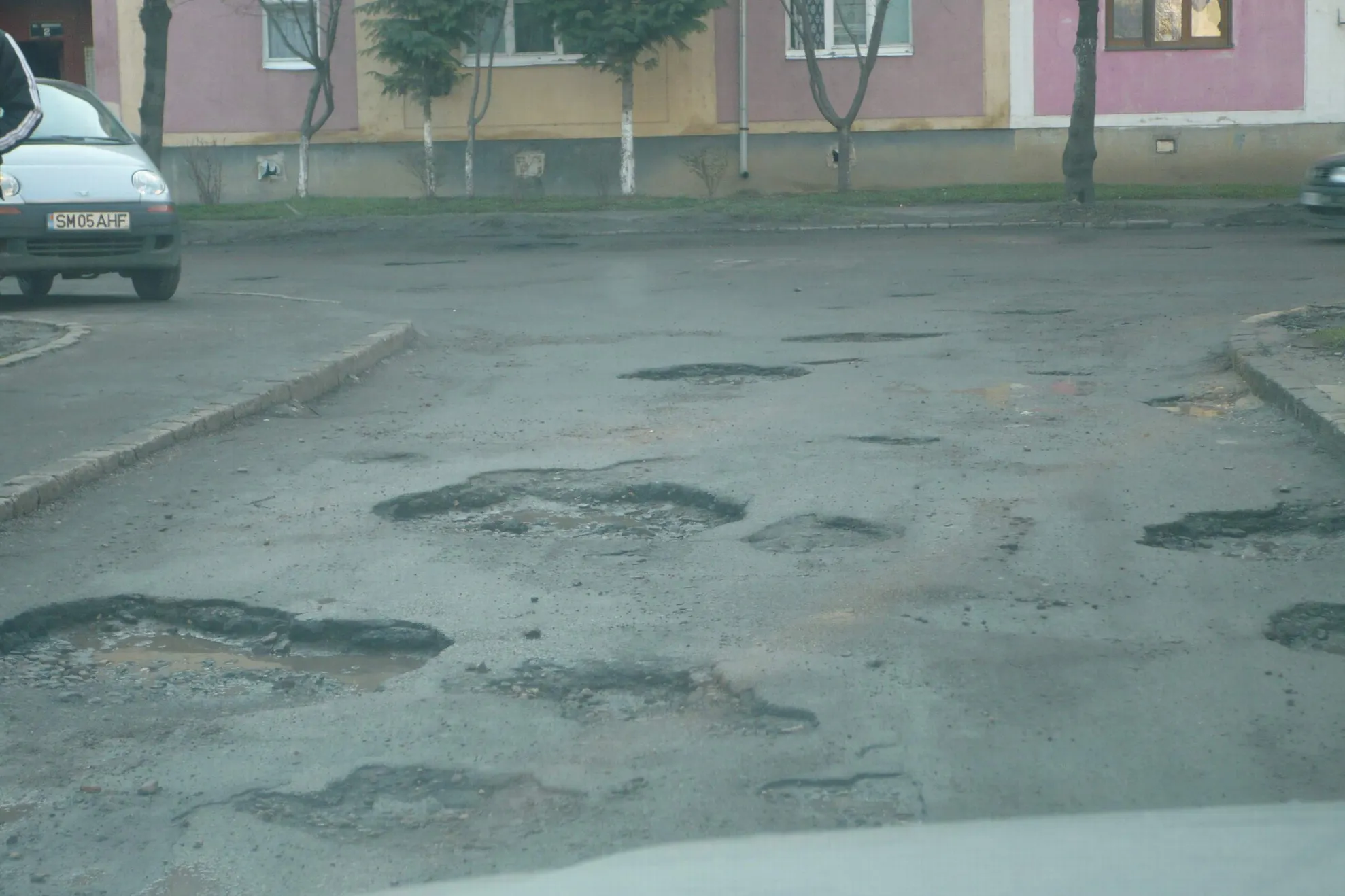 Strada Brânduşa din Satu Mare, gopile la ele acasă