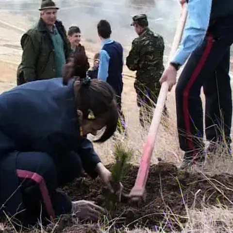 2.000 de puieţi au fost plantaţi de elevii Colegiului Militar din Alba Iulia 