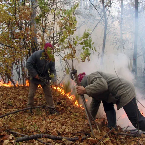 Un incendiu de vegetaţie uscată a îngreunat traficul în comuna Scoarţa