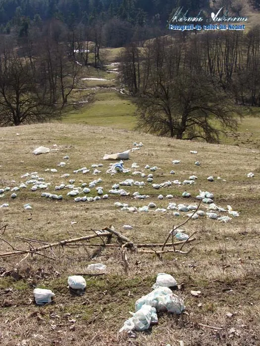 Zeci de scutece, aruncate pe un câmp din judeţul Neamţ