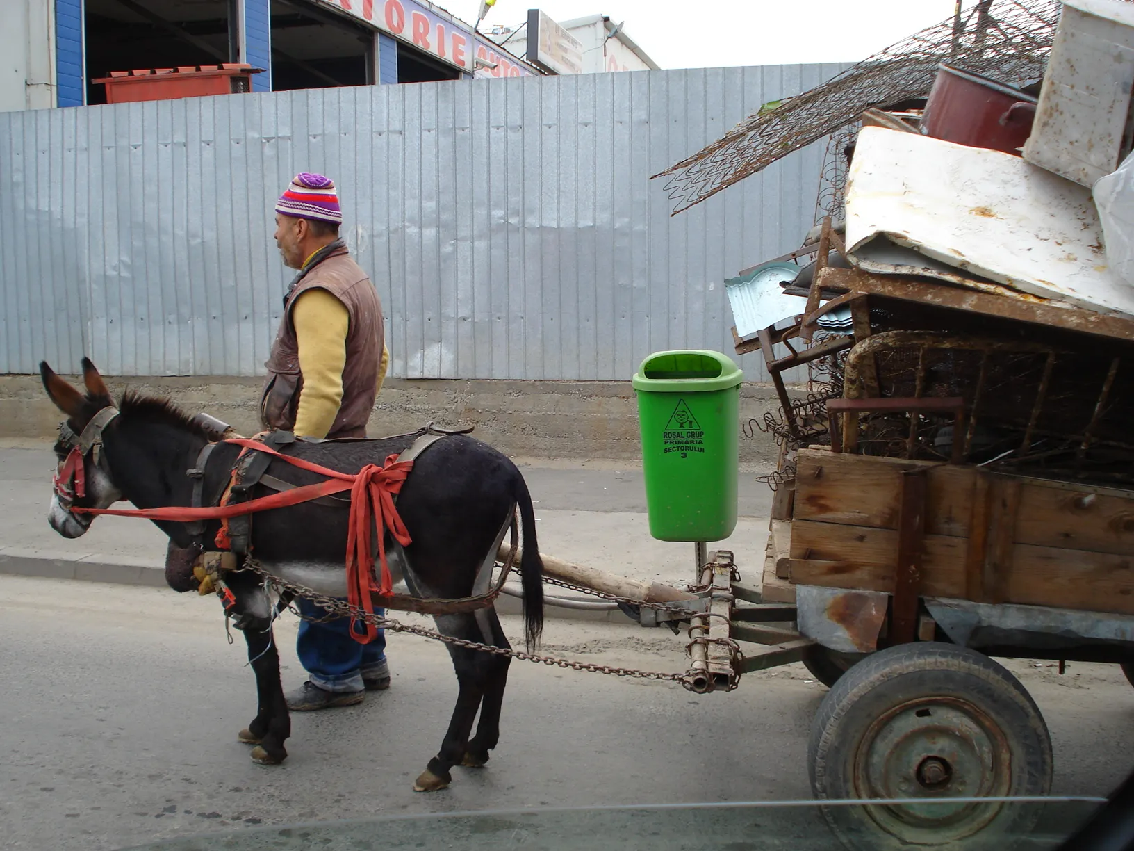 Cu căruţa în trafic, în Bucureşti