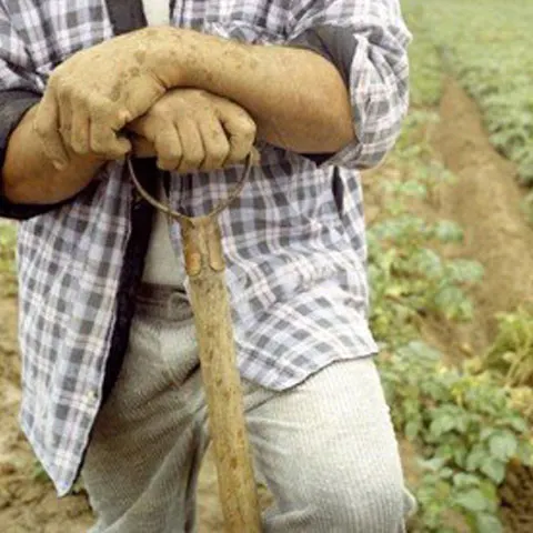 Agricultorii au ameninţat că vor ieşi în stradă