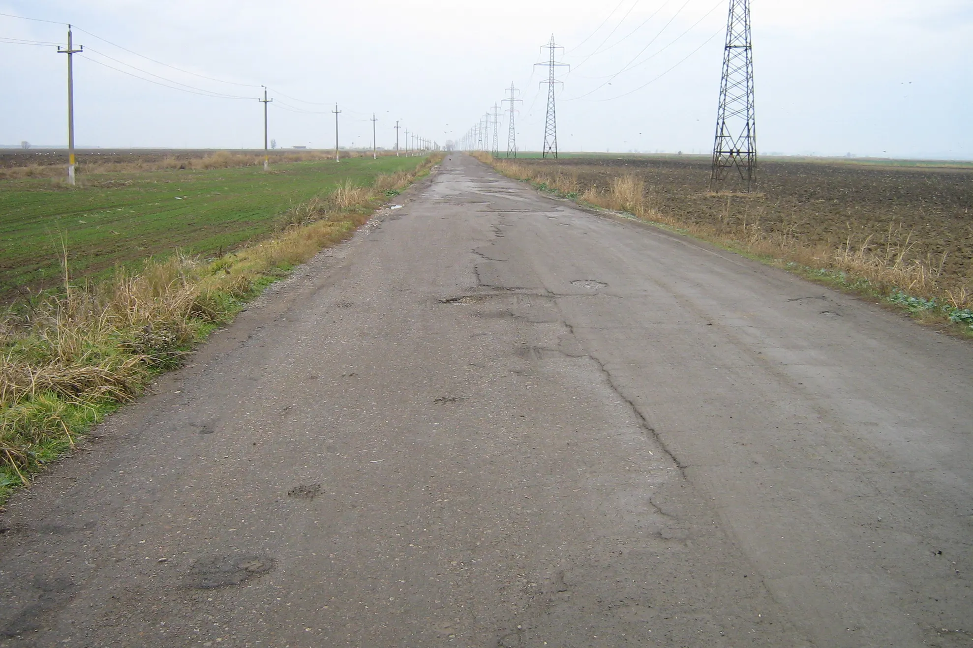 Şoseaua care străbate Insula Mare a Brăilei, degradată în totalitate