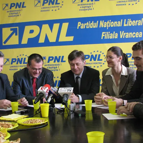 PNL şi-a ales vicepreşedinţii