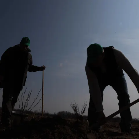 Record de voluntari în deşertul Olteniei, în cadrul campaniei "România prinde rădăcini"