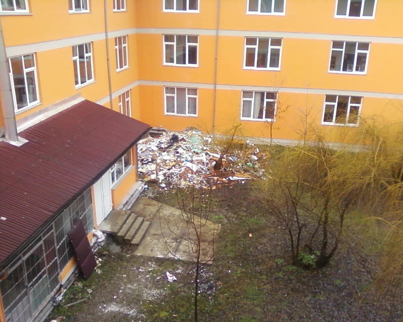 Mizerie în curtea interioară, Facultatea de Litere şi Ştiinţe din Baia Mare