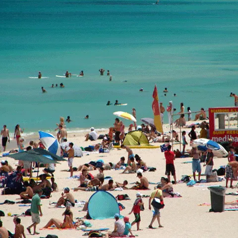 Senatorii au votat ordonanţa prin care se acordă tichetele de vacanţă