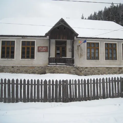 Liceenii maghiari din Transilvania au protestat faţă de propunerea de reducere a unor ore în programă