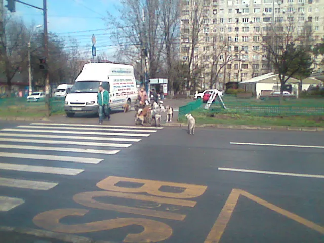 Bucureşti, Capitala României