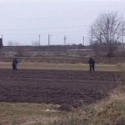 Agenţia de Plăţi şi Intervenţii în Agricultură le plăteşte fermierilor subvenţiile