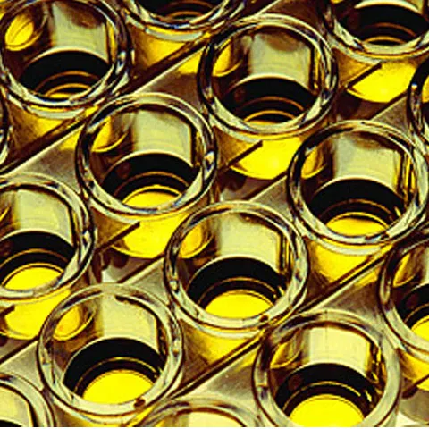 Cele mai ciudate invenţii ecologice ale anului 2008