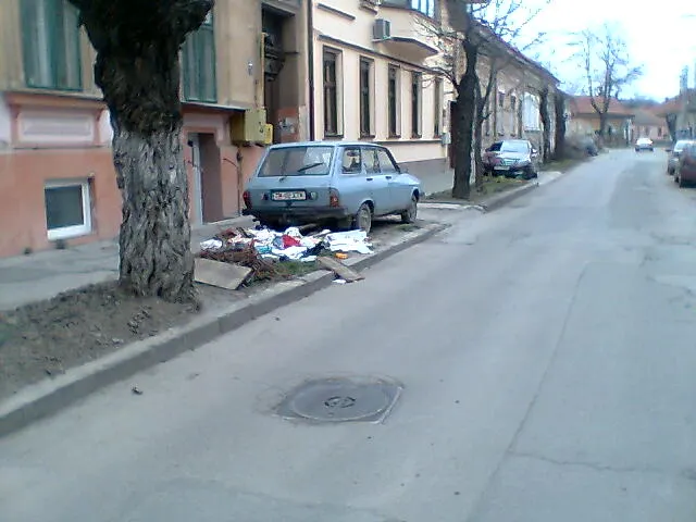 Mizerie pe străzile Timişoarei