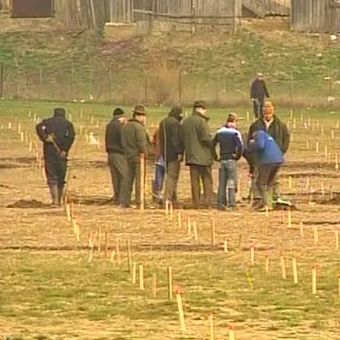 România prinde rădăcini: Cinci hectare au fost plantate luni la Doljeşti