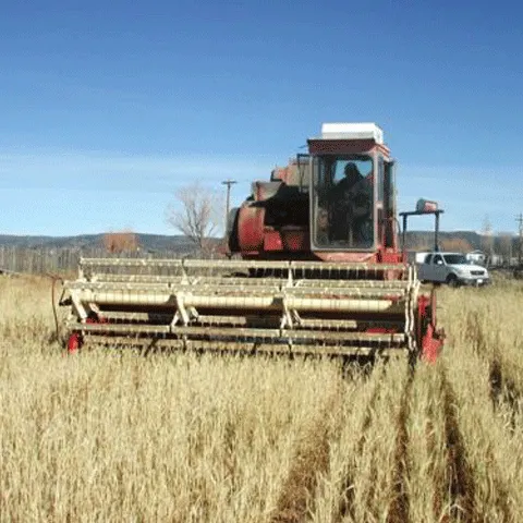 ADVERTORIAL: Ministerul Agriculturii iniţiază programul de informare a producătorilor agricoli