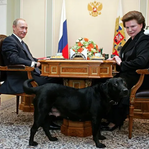 Câinele lui Putin a dat iama în delicatesele pregătite pentru şefii de partid