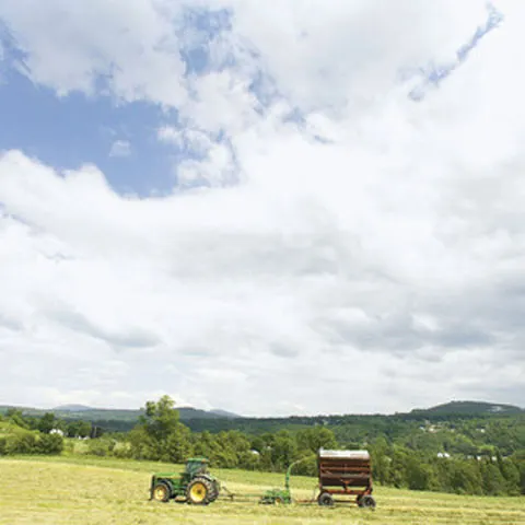 Investiţiile în terenurile agricole şi în păduri vor fi în top în 2009 