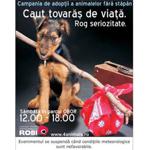 În acest weekend, în parcul Obor din Capitală, bucureştenii au putut adopta un animăluţ