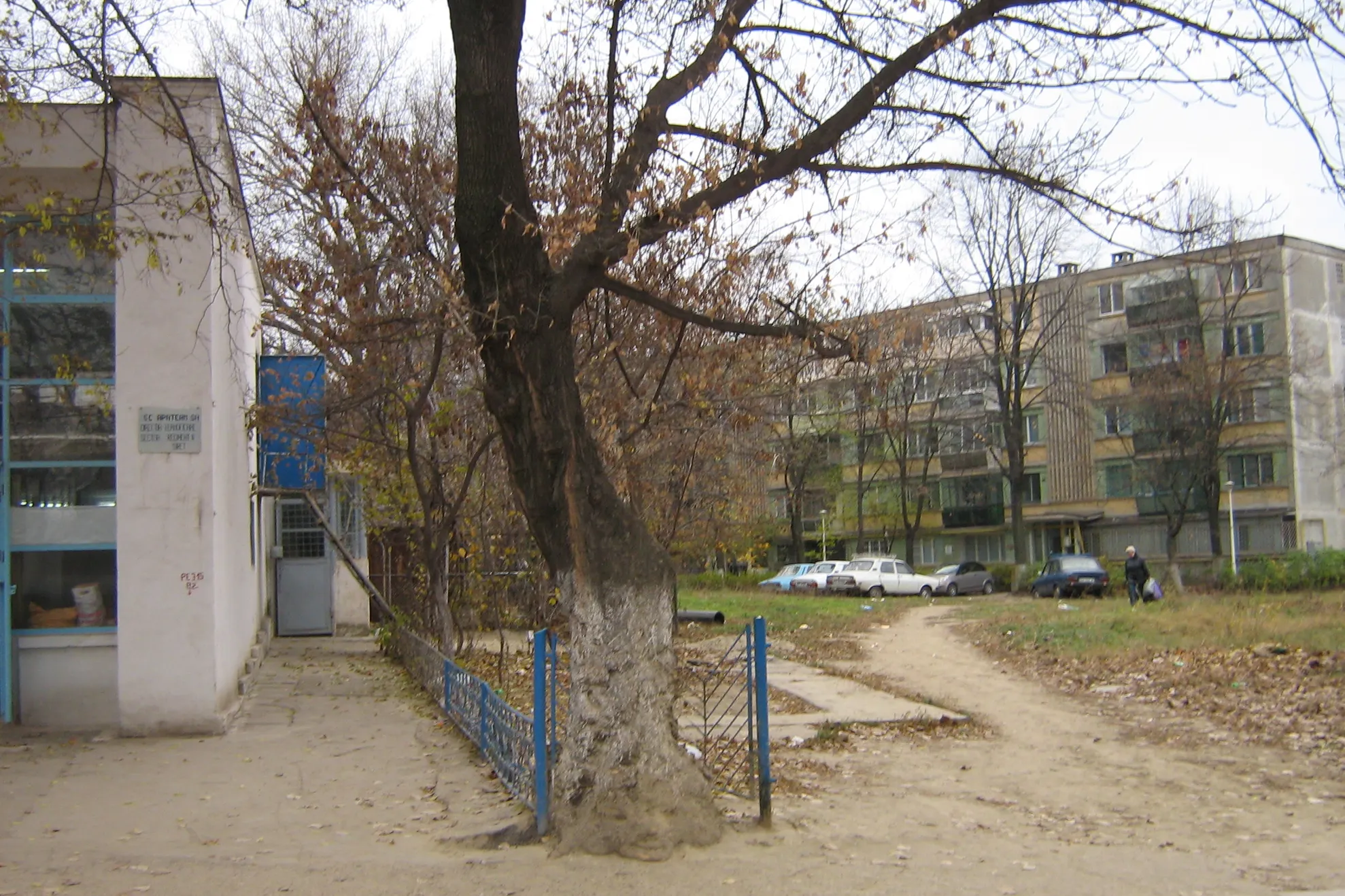 Gardul şi pomul