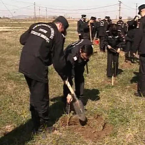 50 de profesori ai Şcolii de Pompieri au plantat vineri o mie de copaci