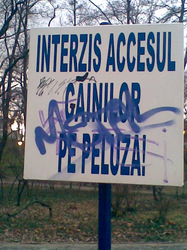 Interzis accesul găinilor pe peluză