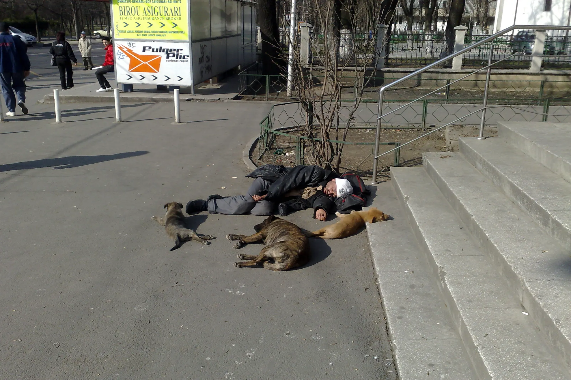 Somn de primăvară