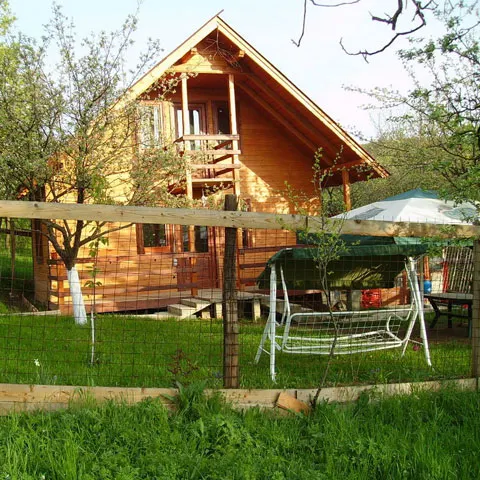 Borbely susţine că pentru romi trebuie construite case, nu blocuri