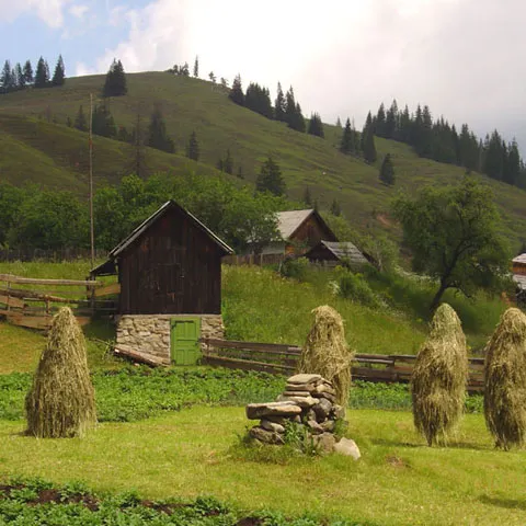 Unităţile de cazare etichetate ecologic ar putea beneficia de TVA de 9%