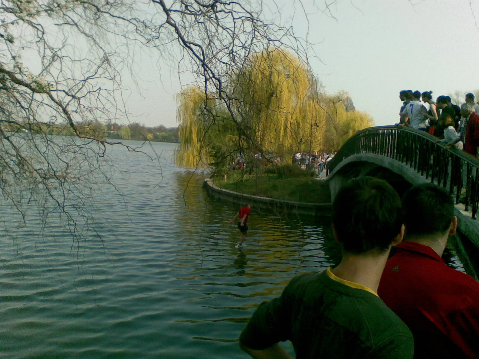 Baie în lacul Herăstrău