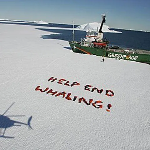 Greenpeace a lansat miercuri un videoclip impresionant despre Pământ  - VEZI VIDEO