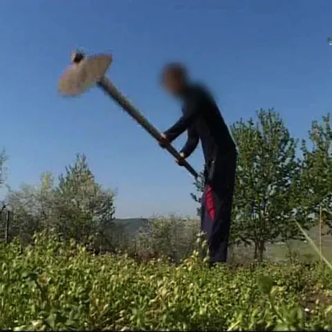 Copiii unei familii din judeţul Vaslui au renunţat la şcoală, băieţii fiind nevoiţi să muncească cu ziua prin sat