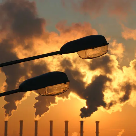 Poluarea atmosferică ar ajuta plantele să combată încălzirea climatică, potrivit unui studiu