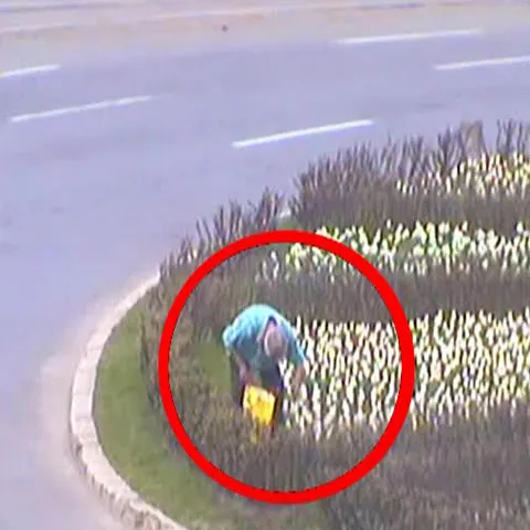  Poliţiştii comunitari din Iaşi prind în fiecare zi câte doi hoţi de flori