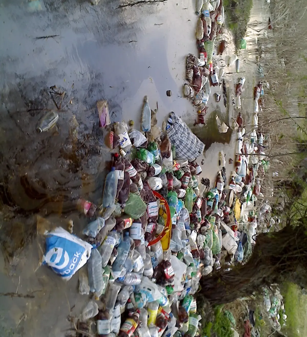 Delta Dunării, focar de poluare
