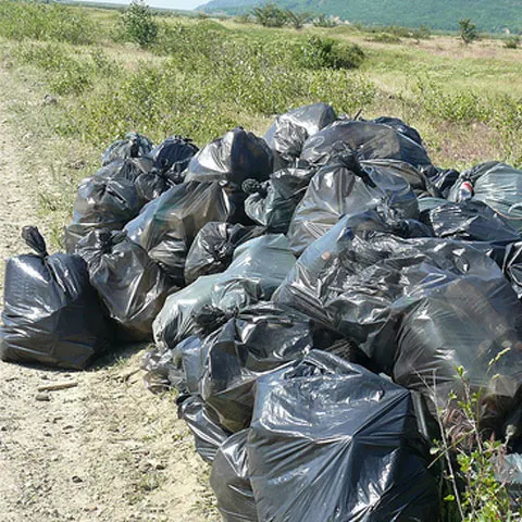 Voluntari, jandarmi şi pădurari vor patrula în Buşteni şi Sinaia de 1-3 mai ca să protejeze mediul