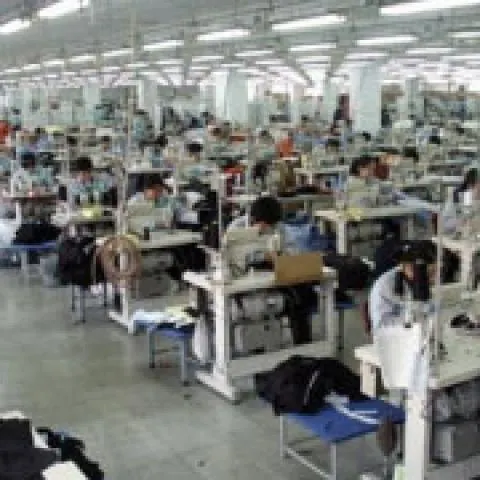 INS: Industria prelucrătoare, comerţul şi serviciile vor scădea