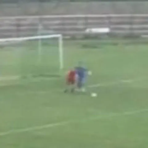 Italia: Un jucător i-a furat mingea cu mâna portarului şi a marcat! Arbitrul a validat golul!