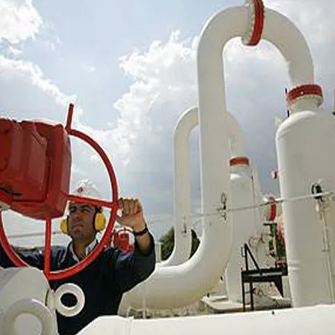 Dinu Patriciu: proiectul South Stream este dăunător pentru România