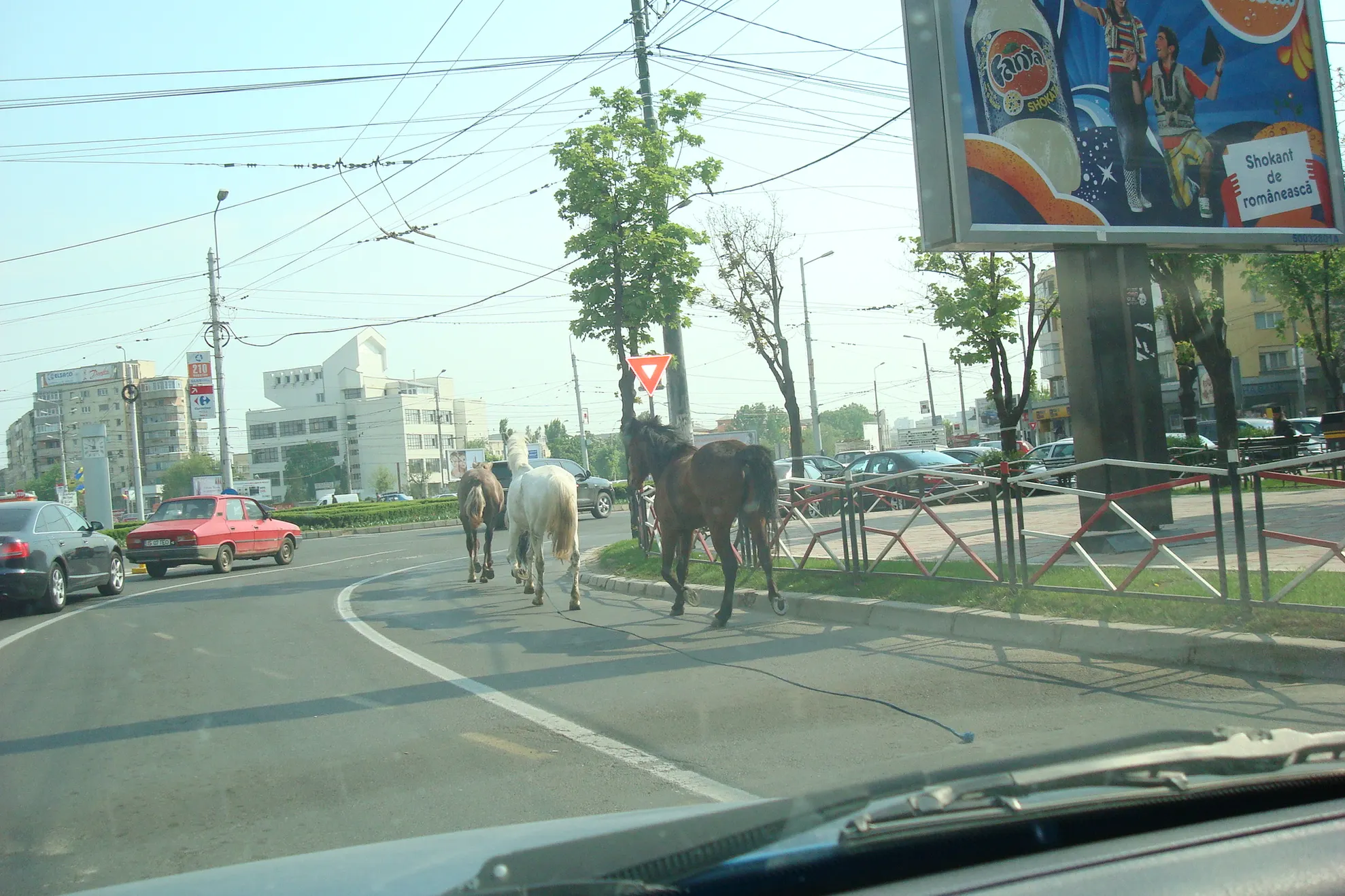 Intersecţia Podul Roş, banda pentru autobuze