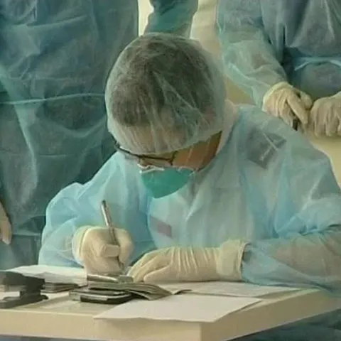 Virusul care provoacă gripa porcină s-a extins în 16 ţări 