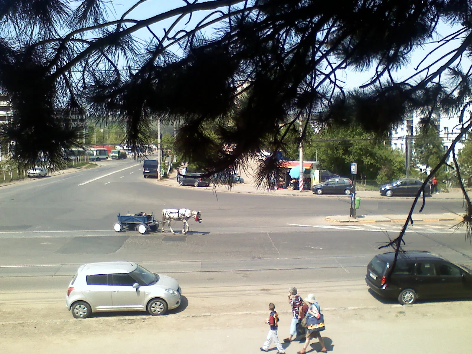 Căruţaş dormind la plimbare prin Cluj